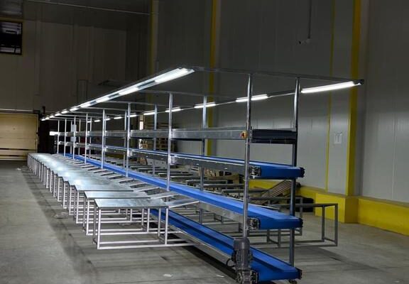 Domates İşleme Hattı